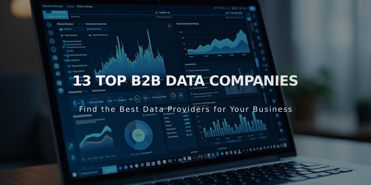 13 Leading B2B Data Companies Transforming Business Intelligence in 2024