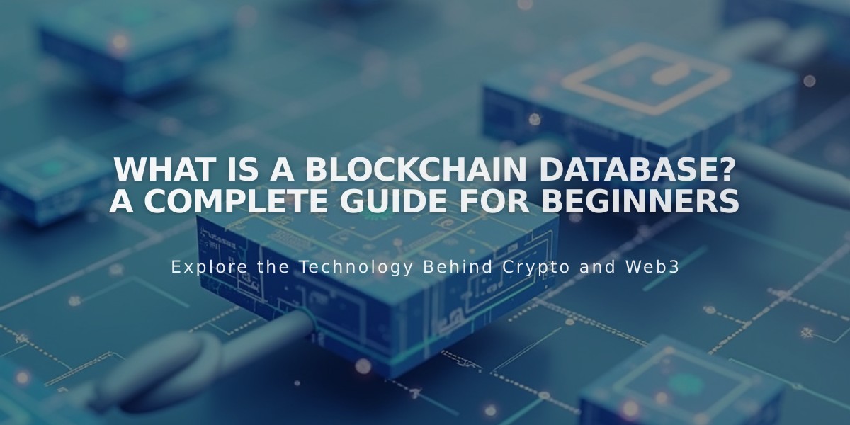 What is a Blockchain Database? A Complete Guide for Beginners