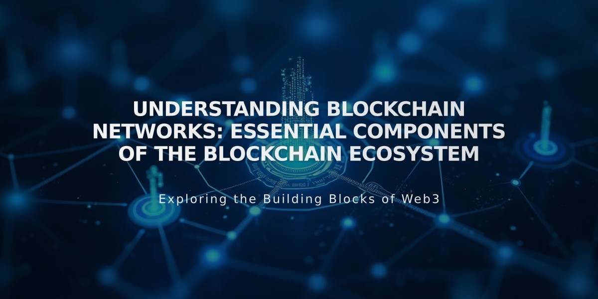 Understanding Blockchain Networks: Essential Components of the Blockchain Ecosystem